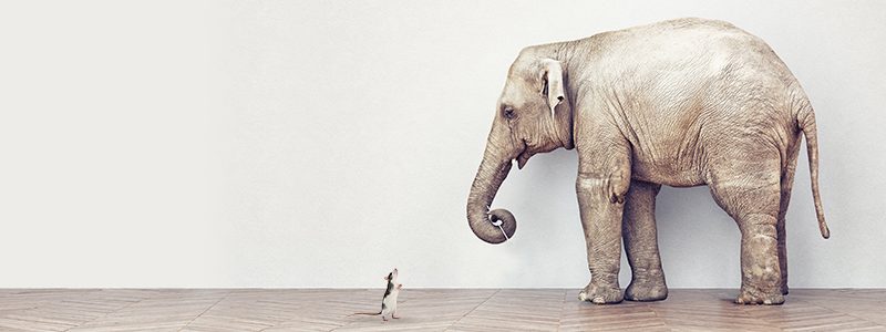 How custodians learned to stop worrying and love the FinTechs
