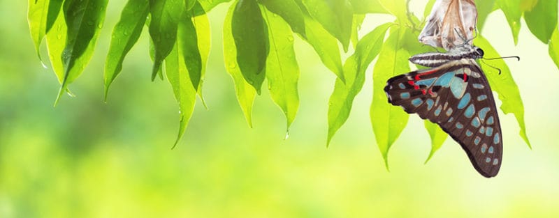 ESG proves its worth; now it is time to evolve