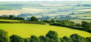 Is the grass greener on the other side? GC Research looks back at last year’s Outsourced Trading Survey ahead of 2024 launch