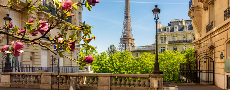 Clearing out the notebook: Top takeaways from Europe’s Network Forum